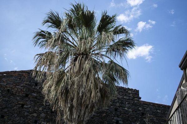 Bed and Breakfast Opera (Catania)